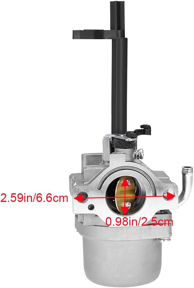 Carburetor Carb For Briggs&Stratton 591378 699966 697978 Snowblower Generator US In | Whizz Carburetors - Foto 7