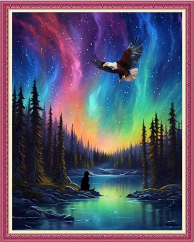 Image of Funxvoot Stamped Cross Stitch Kits Beginners Full Range of Embroidery Kits for Adults 11CT Embroidery Patterns Needlepoint Kits Printed Cross Stitch Kits-Northern Lights Scenery 16x20 inch