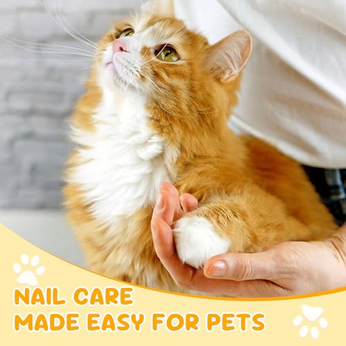 Krallenschere Katzen Schere für Anfänger toll geeignet,Ausgezeichnete Krallenschere Liegt gut in der Hand, katzen nagelschere ist sehr einfach und sicher anzuwenden