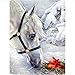 Produktbild Malen Nach Zahlen Für Erwachsene Anfänger Pferd Und Radieschen DIY Geschenk Acryl Malerei Hause Wanddekor-Rahmen 40X50Cm