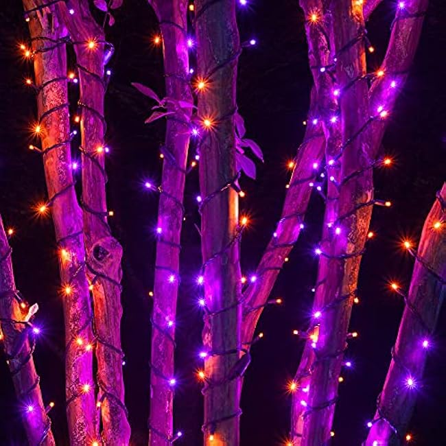 DAZZLE BRIGHT Halloween 300 LED String Lights, 100FT String Lights with 8 Lighting Modes, Halloween Decorations for Party Carnival Supplies, Outdoor Yard Garden Decor (Purple & Orange)