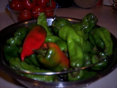 Miniatura 4 de Clovers Garden Plantas de pimiento Melrose, dos (2) plantas vivas  Sin OMG  Sin semillas  Cada una de 4 a 8 pulgadas de alto en macetas de 4