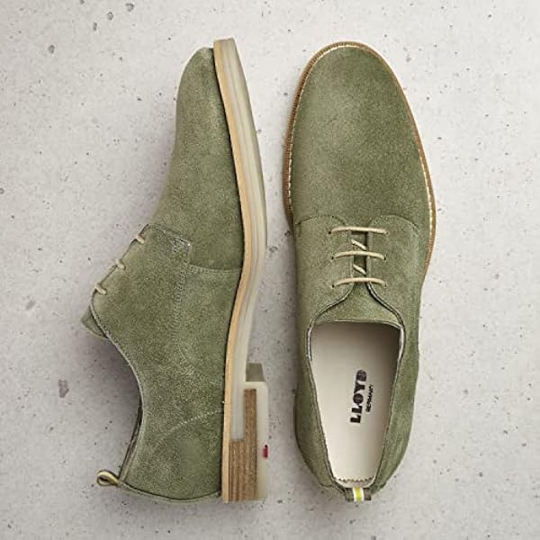 LLOYD Dallas Veterschoenen voor heren, zakelijke schoenen