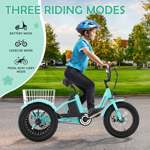 LILYPELLE Electric Tricycle for Youth, 250W Aluminum Frame