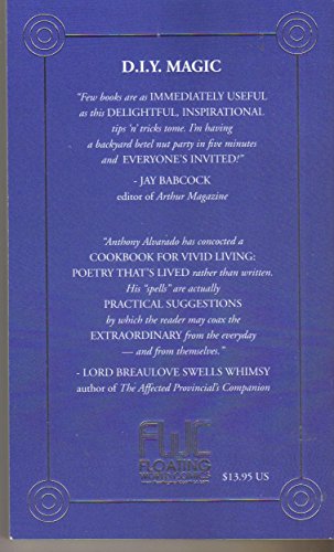 D. I. Y. Magic B00KQT0RBM Book Cover