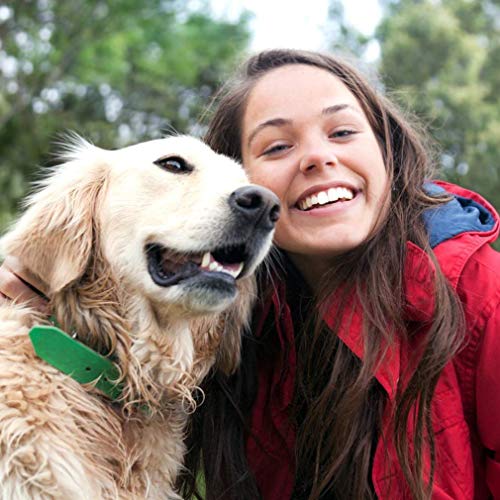 BestPet Pet Stroller Cat Dog Cage Stroller Travel Folding Carrier - Image 3