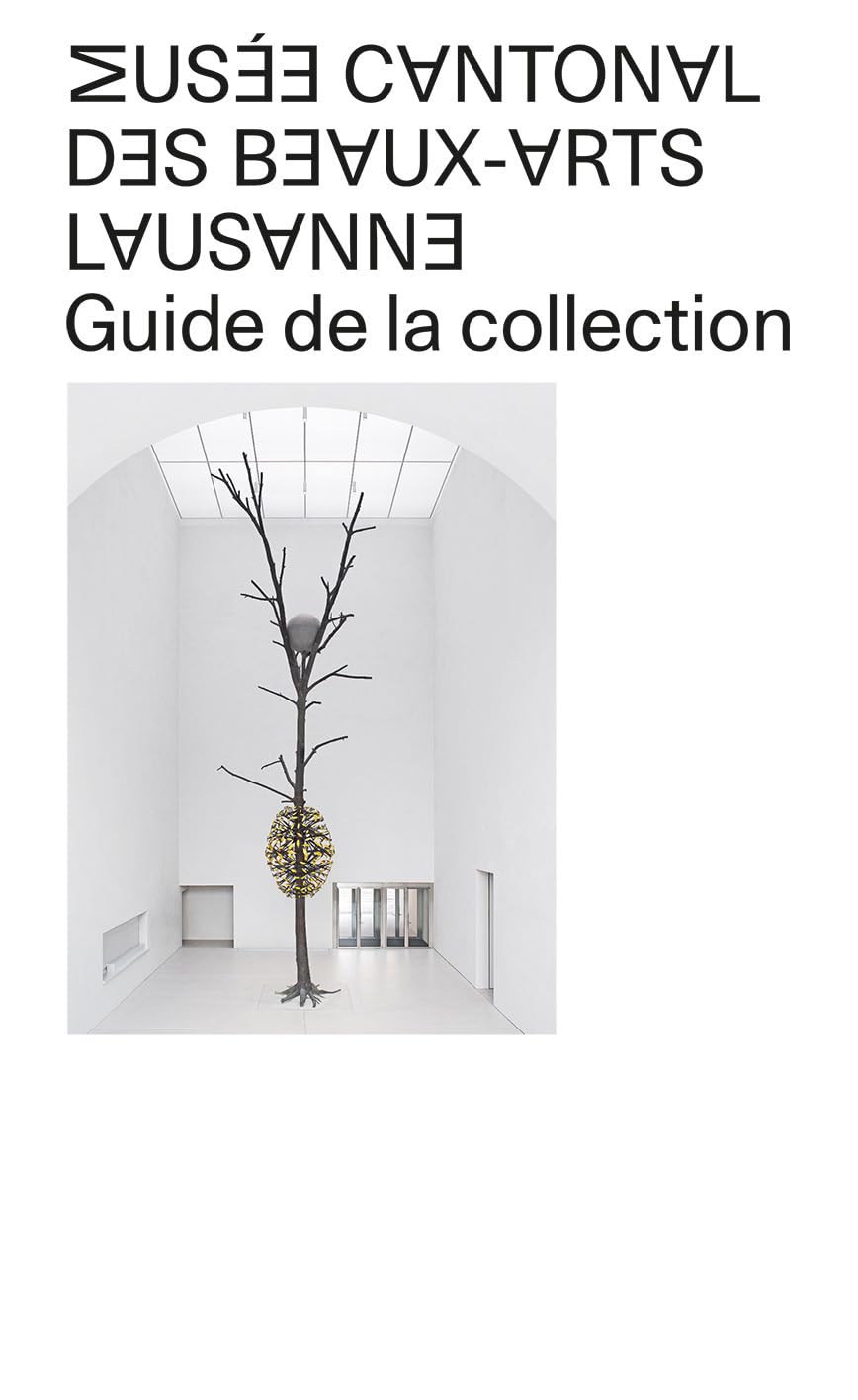 Musée cantonal des Beaux-Arts Lausanne: Guide de la collection livre catalogue art suisse