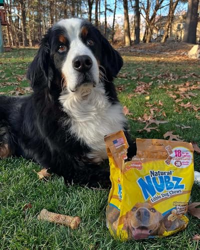 Image of Nylabone Natural Nubz Dog Treats, Allergen-Free Peanut Butter Large Large - 30+ lbs. (18 Count) | Long lasting dog chews, made in the USA, limited ingredients, highly digestible, dog dental treats for large dogs 30+ lbs