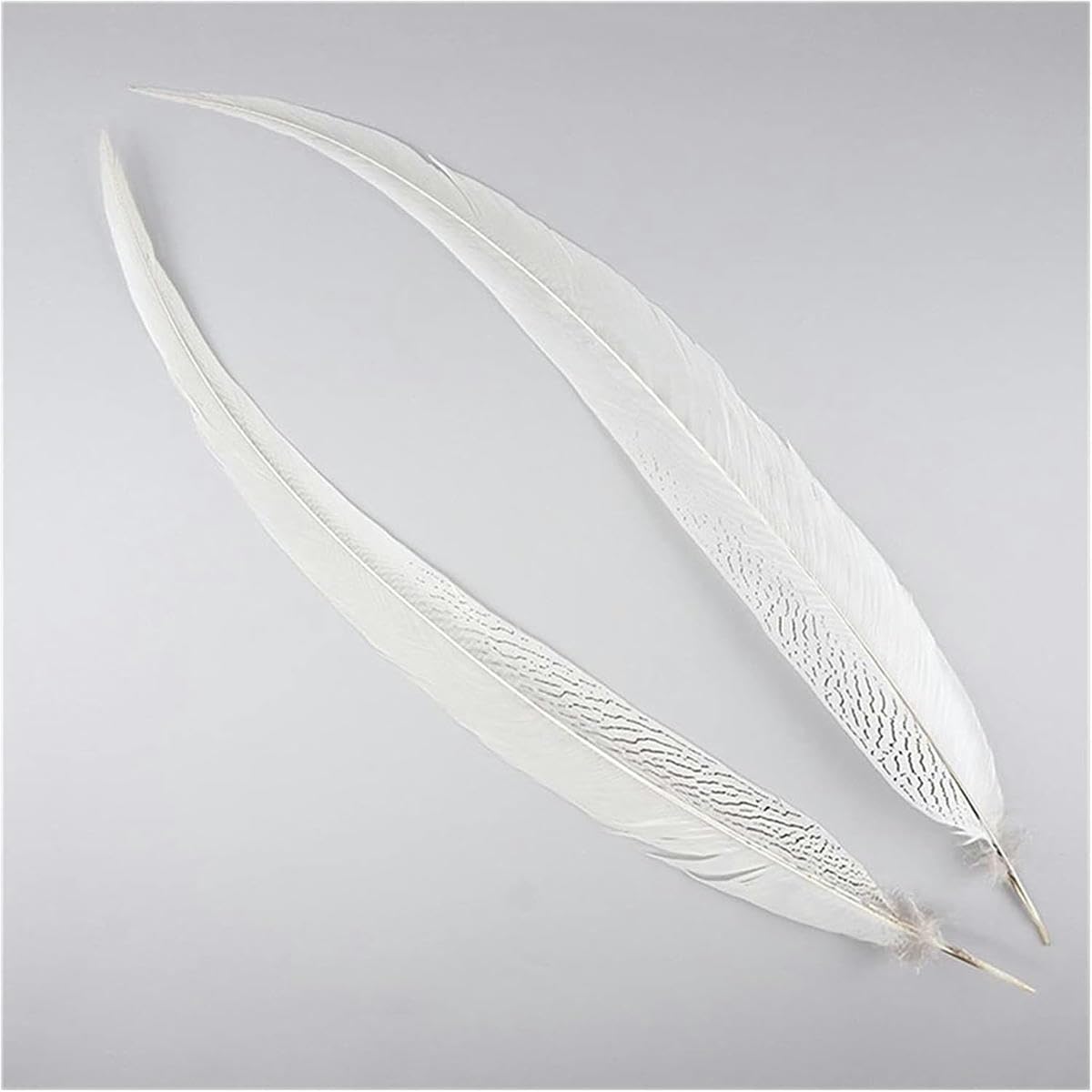 Piume, piume di coda di fagiano argentate 10-80 cm 4-32" piume di coda di fagiano argentate per artigianato decorazioni fai da te grandi piume lunghe bianche argentate piume piumaggio boa-10 pez