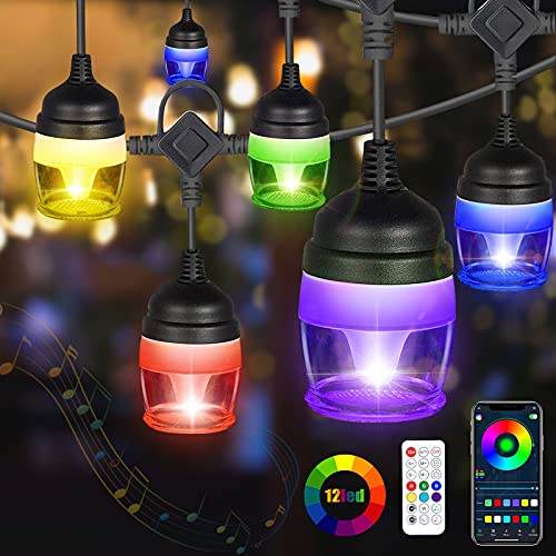Outdoor String Lights, Cadrim String Lights with 12 Lights Multi Color String Lights, 1W/Bulb 43in LED Smart String Lights Outdoor App Control Dimmable, Waterproof String Lights for Patio,Yard,Gazebo
