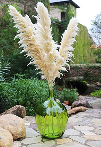 53,3 cm extra große Boden-Glasvase für hohes Pampasgras – Vase für...