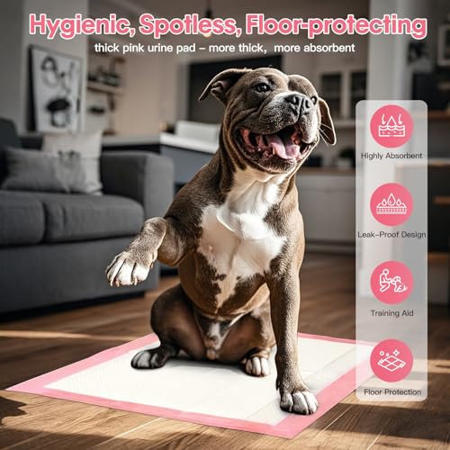 Image of BinetGo Pink Disposable Pee Pads for Dogs, 40 Count 24 inch x 24 inch Large Wee Wee Pads for Urine, Extra Absorbent Unscented Puppy Pads, Pet Training Pads for Dogs, Pink Doggy Pee Pads for Indoors