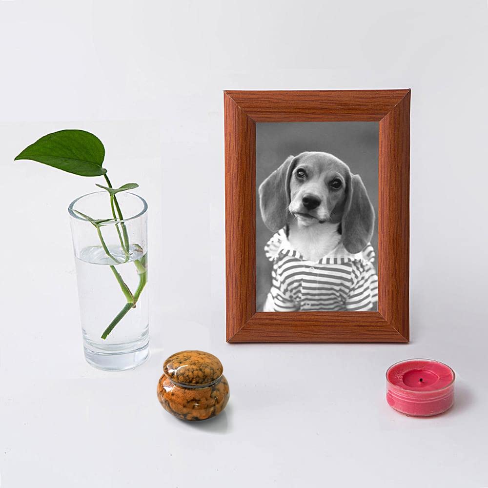 Urna Piccola,Mini Ceramica Urne Cinerarie Realizzata a Mano Piccola Urna Commemorativa per Contenere Umane o Animali Ceneri(Arancia)