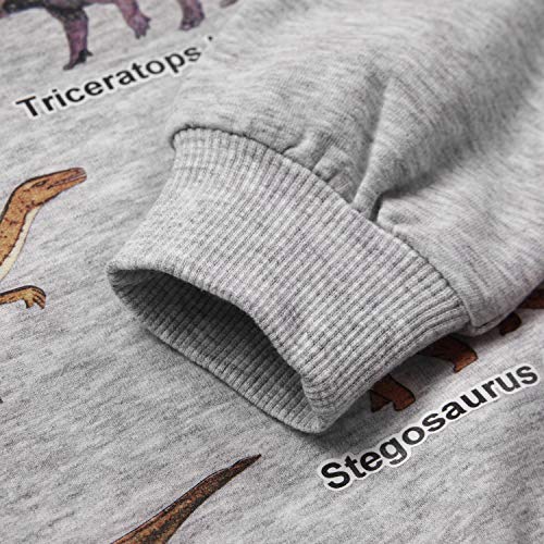 Image of Akyzic Boys Sweatshirts Cotton Long Sleeve Crewneck Pullover Toddler Kids Winter Warm Shirt Sweater Tops 3t-8t