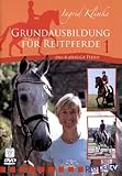 Grundausbildung für Reitpferde Teil 1: Das 4-jährige Pferd