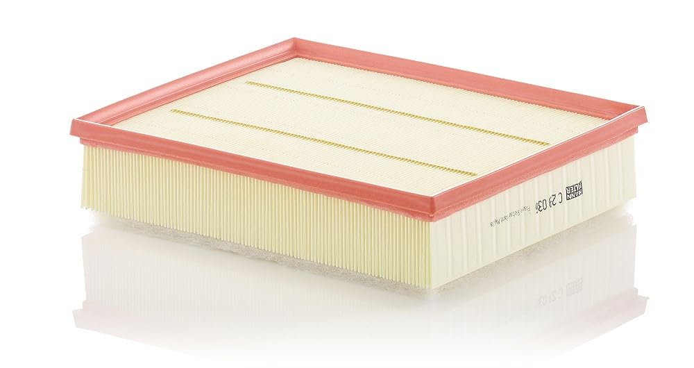 Original Mann-Filter Air Filter C 29 036 for MAN VW