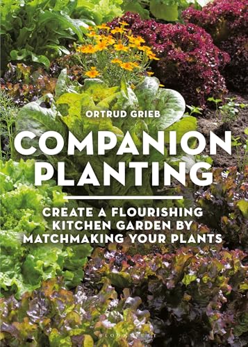 Companion Planting: Create a Flourishing Kitchen Garden By Matchmaking Your Plants