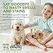 Amaziing Solutions Pet Stain and Odor Remover - Enzyme Cleaner, Pet Urine Odor Eliminator Refill - Floor & Carpet Cleaner, Pet Deodorizers For Home, Fabric Freshener W/Fresh, Clean Scent, 1 Gallon