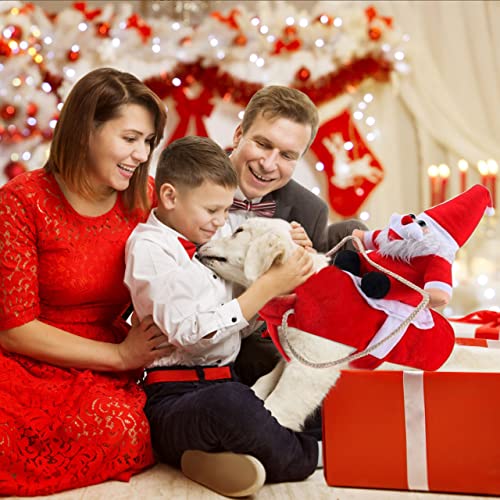 Vestiti Natalizi Cani, Cane di Babbo Natale