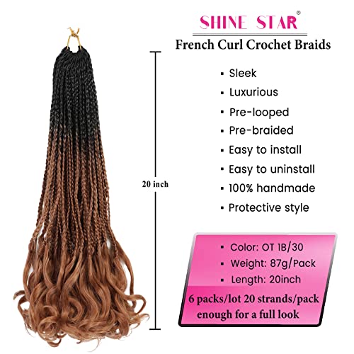 French Curl Crochet Braids, 20Inch 6 Packs Boho Goddess Box Braids Crochet Hair For Black Women, Crochet Box Braid With Bouncy Wavy Curly Ends Pre-Looped French Curly Braiding Hair Extension (T1B/30) #TOP2