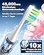 Elektrische Zahnbürste, Ultraschall Zahnbürsten, 45000VPM, Aufhellung Der Zähne In 1 Woche, 6 DuPont-Bürstenköpfe, 120 Tage Akkulaufzeit, Batteriestandsanzeige, 5 Modi, Timer, IPX7, Aufhängbar, Weiß