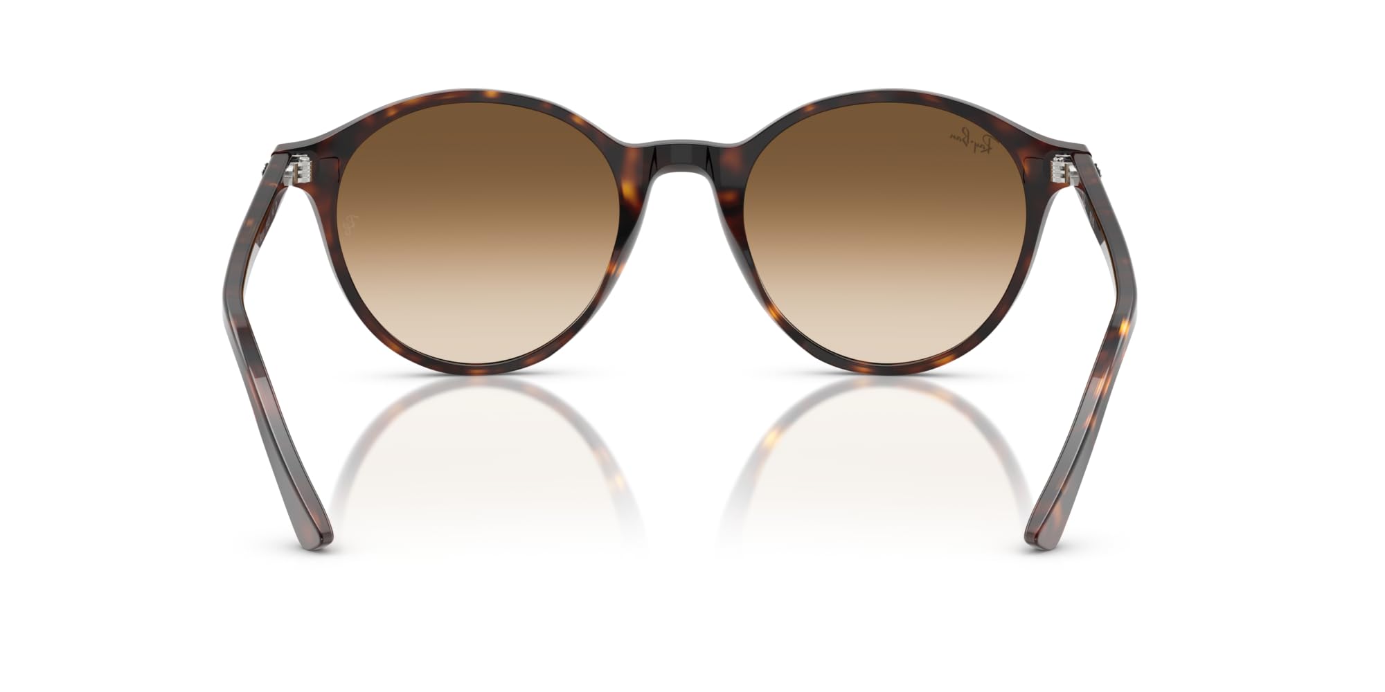 Ray-Ban Rb2230 Bernard Runde Sonnenbrille Havana/Braun Farbverlauf transparent