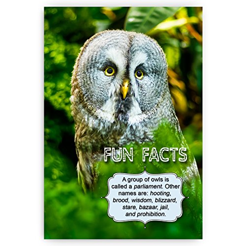 ANIMALS FUN FACTS postcard set of 20 postcards. Animal and bird post cards variety pack. Made in USA. - Thumbnail 6