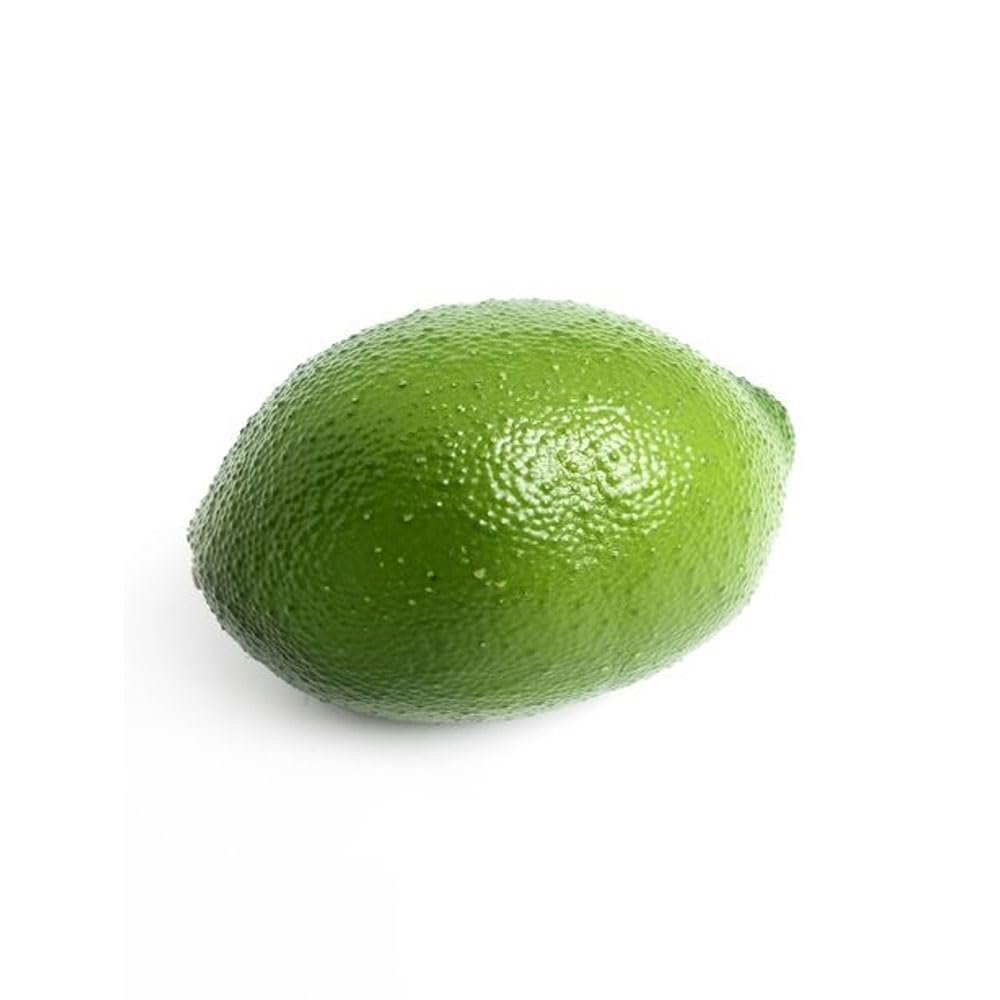 FloristryWarehouse Artificial Lime Fruit Very Realistic 6cm/2.5 inch Diameter