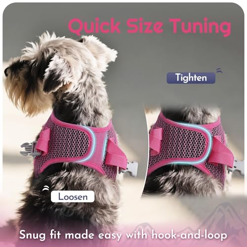 Eagloo Small Dog Harness and Leash Set, Step in Puppy Vest with Breathable Soft Mesh, Walking Reflective Pet Harness for Small Dogs, Rose Red, S by Eagloo - Image 9