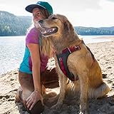 Kurgo Journey Air Hundegeschirr - Sichere Passform für Aktive Hunde - Gepolstertes Bruststück - Leichtes Ripstop-Gewebe - Atmungsaktives Netzmaterial - Reflektierender Rand - Rot - M