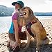 Kurgo Journey Air Hundegeschirr - Sichere Passform für Aktive Hunde - Gepolstertes Bruststück - Leichtes Ripstop-Gewebe - Atmungsaktives Netzmaterial - Reflektierender Rand - Rot - M