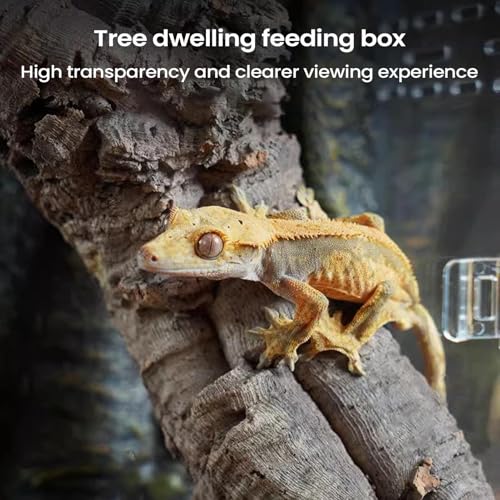 Accessoire pour lézards et geckos avec cage d'élevage ventilée - 4