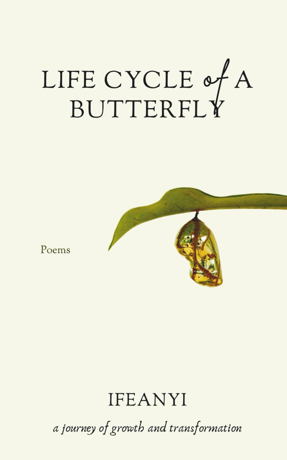 Life Cycle of a Butterfly: A Journey of Growth and Transformation