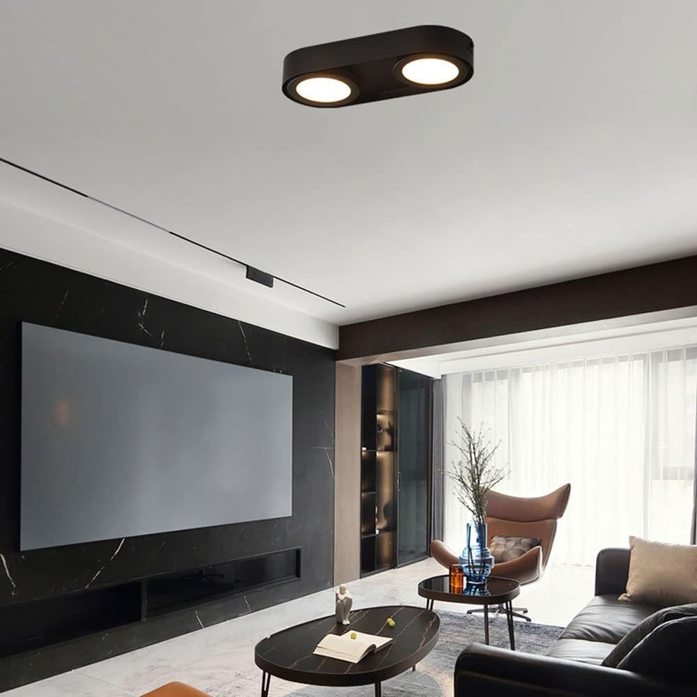 Siet LED Ceiling Downlight 2-Light Surface Mounted Lighting Fixture, Aluminum Directional Spotlight Accent Lamp, Modern Ceiling Downlights for Corridor Living Room Bedroom