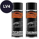 datsun skyline gtr 1972 Ideal geeignet, um alle Karosserieteile zu lackieren