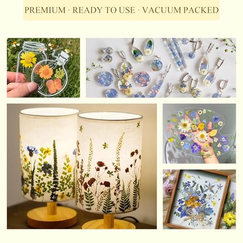 Kit de flores prensadas AZY con 33 piezas naturales secas miniatura 5
