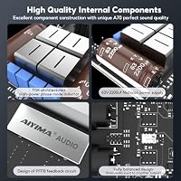 AIYIMA A70 symmetrischer Stereo-Verstärker mit PFFB 4 Ohm 300 Watt TPA3255 2.0-Kanal-Klasse-D-Verstärker für Heimkino-Regallautsprecher mit XLR- und RCA-Eingängen und Trigger-Eingang DC48V 5A – Ansicht 3