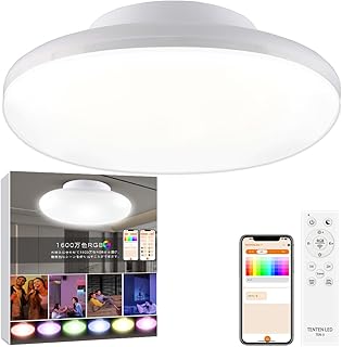 LED シーリングライト 4畳 6畳 10W 2000lm 調光 調色 RGB 雰囲気ナイトライト 無段階調光調色 常夜灯 消灯タイマー メモリー機能 リモコン 小型 薄型 ライト LEDシーリングライト 3~6畳用 おしゃれ 照明器具 天井照明 電気 蛍光灯 Ceiling Light 省エネ 目に優しい 工事不要 リモコン付き スマホ操作 寝室 部屋 玄関 門灯 廊下 トイレ 台所 洗面所