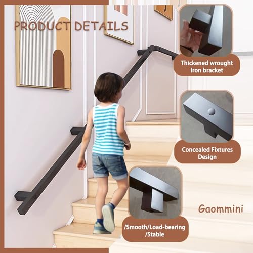 Rampe d'escalier extérieure et garde-corps noir pour marche de terrasse