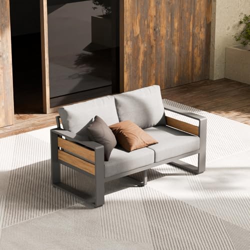 ZANDOR Outside Aluminum Lawn Furniture - 1 Pcs Loveseat, All-Weather Metal Modern Outdoor Loveseat Sofa with Washable Thick Cushion for Garden/Backyar