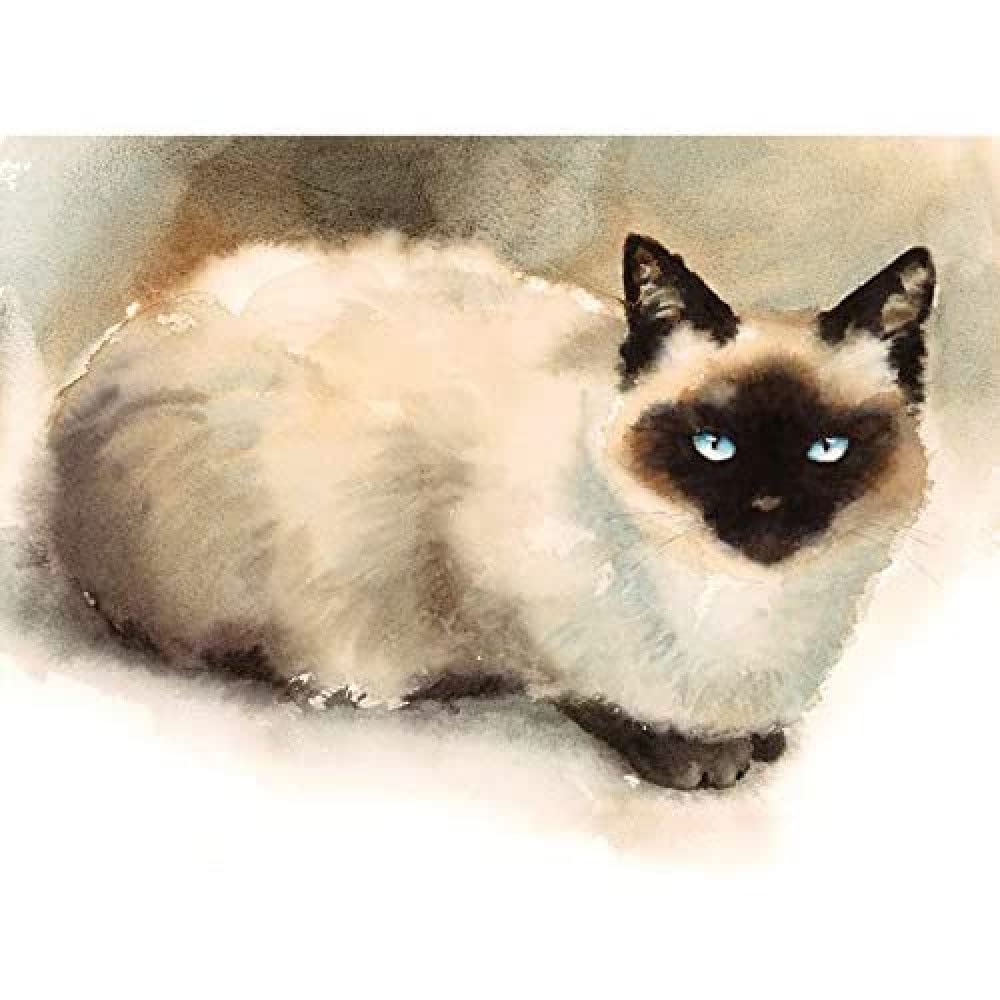 Wee Blue Coo Cat Ragdoll Watercolour Unframed Art Print Poster Wall Decor 12x16 inch
