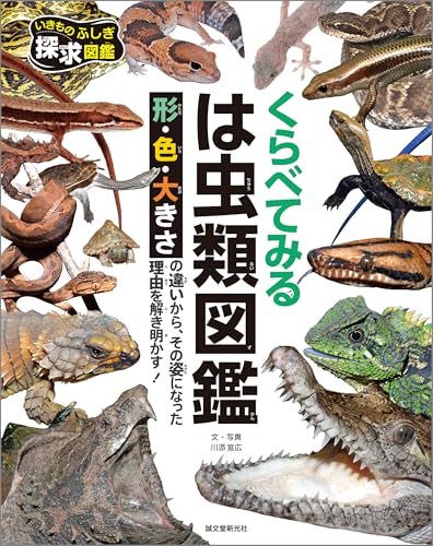 くらべてみる は虫類図鑑: 形・色・大きさの違いから、その姿になった理由を解き明かす！ (いきものふしぎ探求図鑑)