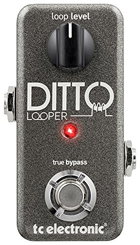 TC Electronic DITTO LOOPER - Pedal de fraseo/looping, funciones de undo/redo