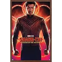 シャンチー ポスター Amazon.co.jp: Trends International マーベル シャン・チーと十