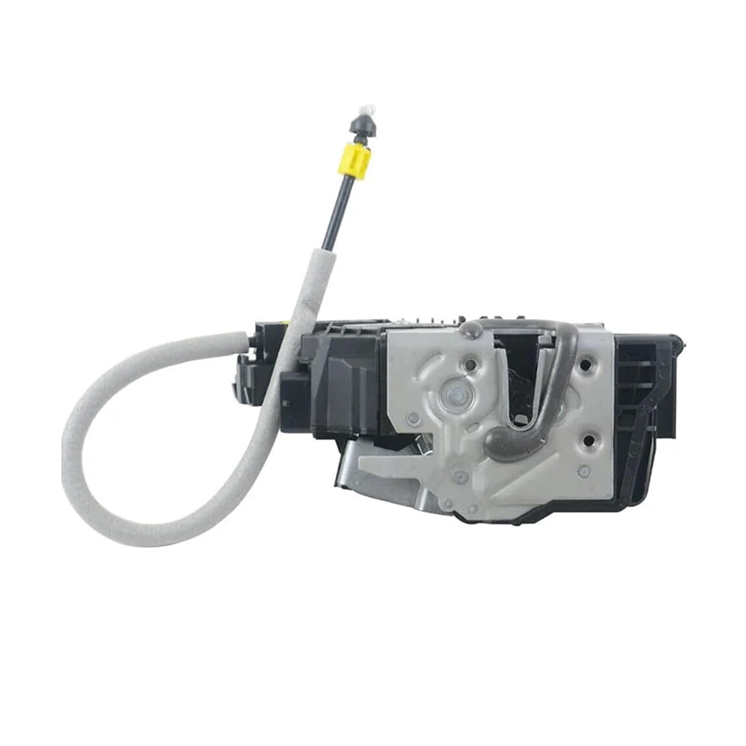 ◇工芸◇下村観山「春日の朝」掛軸 絹本 共箱 タトウ箱付き