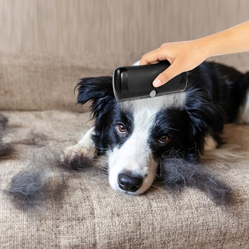 YAOZUP Fellwunder Bürste hund, Pfotenmond Bürste, Groomify Pet Care Brush, Hunde Bürsten, Deshedding Brush, Hundebürste für Hunde, Haustier-Enthaarungskamm, Pflegekämme für Katze und Hund
