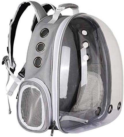 cat bubble backpack amazon