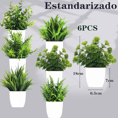 La mejor comparación de Mini macetas decorativas para comprar hoy. 29 Imagen adicional