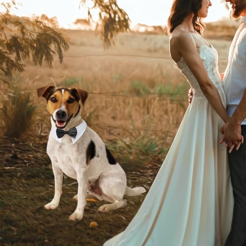 Image of Dog Bow Tie, KOOLMOX Pet Bowtie Collar Black, Adjustable White Pet Tuxedo Collar with Black Dog Neck Bow Tie for Medium Large Boy Dogs Wedding Formal Tuxedo Suit Tux Outfits Birthday Costumes