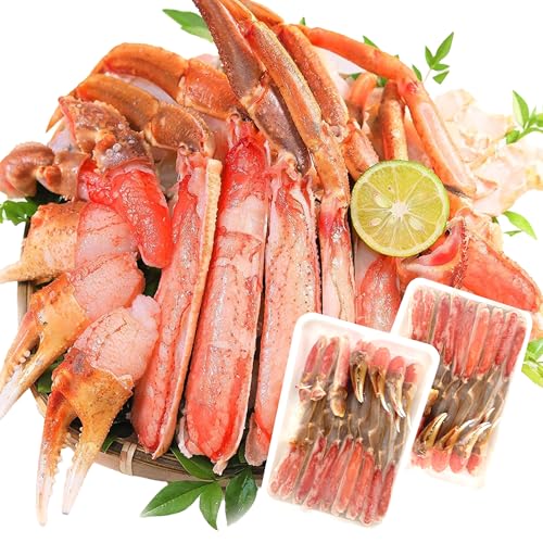 Ε  킢I 荇킹  2s Jbgς Hp I/YCKj hg Jj ɂ |[V ނg Jj Jj 